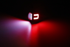 Ford F-150 LED License Plate Lamp